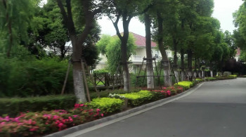 Maineland screenshot 3