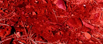 Nemesis 5: The New Model screenshot 1