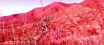 Nemesis 5: The New Model screenshot 2