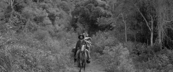 Vazante screenshot 1