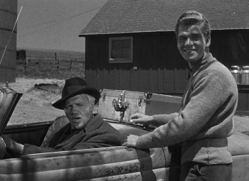 The Farmer's Daughter screenshot 1