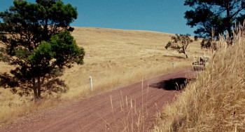 Next of Kin screenshot 1