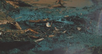 The Dragon Unleashed screenshot 2