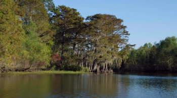 The Christmas Contract screenshot 2