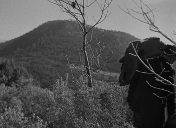 Harvest screenshot 2