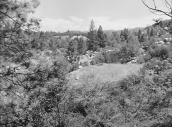 The Red House screenshot 2