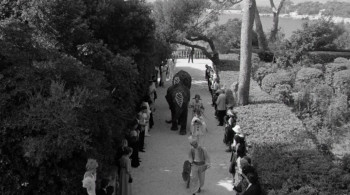 Under the Cherry Moon screenshot 1