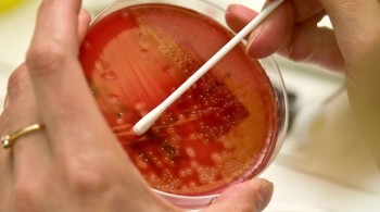 The Immortal Life of Henrietta Lacks screenshot 1