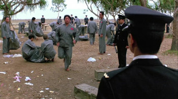 My Lucky Stars screenshot 2