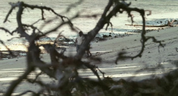 Uninhabited screenshot 2