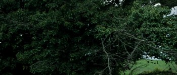 Hideaways screenshot 1