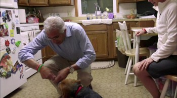 Understanding the Opioid Epidemic screenshot 1