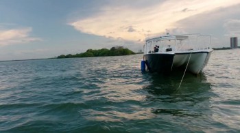 Below the Surface screenshot 2