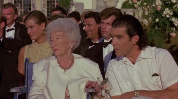 Miami Rhapsody screenshot 2