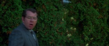 Stay Tuned screenshot 2