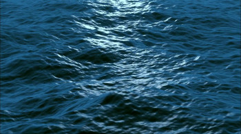 A Year in Space screenshot 1