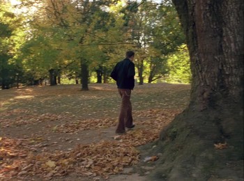 Elephant screenshot 3