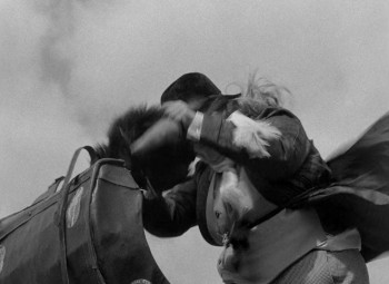 Red, White and Zero screenshot 1