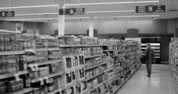 Blue Jay screenshot 1