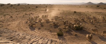 A Million Ways to Die in the West screenshot 1