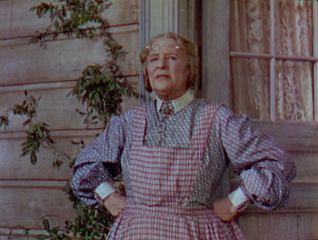 The Adventures of Tom Sawyer screenshot 1