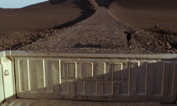 Down to Earth screenshot 3