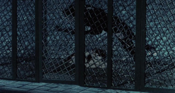 The Plague Dogs screenshot 1