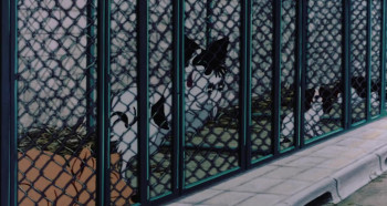 The Plague Dogs screenshot 2