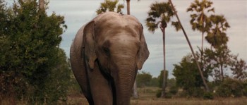 Same Same But Different screenshot 3