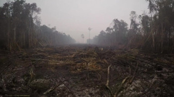 Unseen Enemy screenshot 3