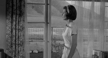 Strait-Jacket screenshot 1