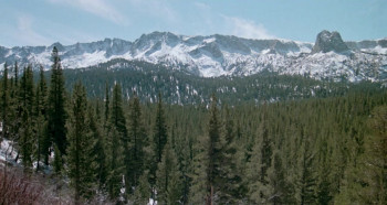 Cry Wilderness screenshot 1