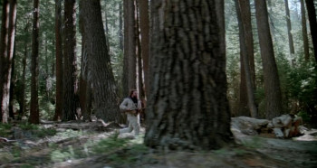 Cry Wilderness screenshot 3