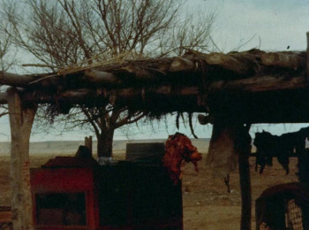 Evil Come Evil Go screenshot 1