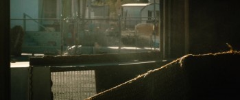 Don't Come Back from the Moon screenshot 3