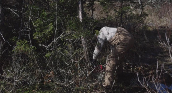 Riverhead screenshot 1