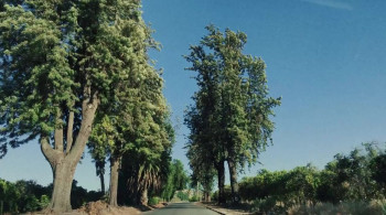 Stopping Traffic screenshot 1