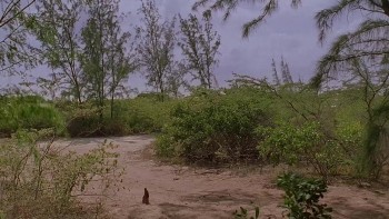 Chupacabra Terror screenshot 1