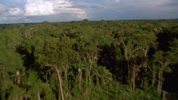 Chupacabra Terror screenshot 3