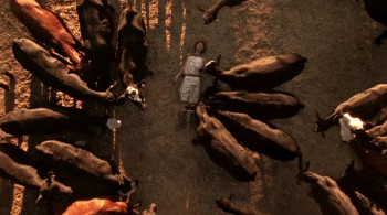 Temple Grandin screenshot 2