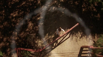 Temple Grandin screenshot 3