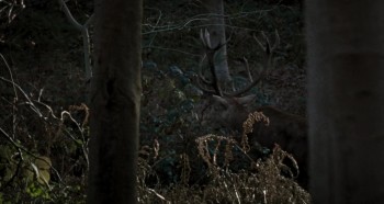 Closure screenshot 3