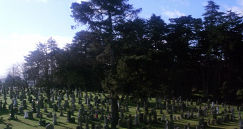 Harold and Maude screenshot 1