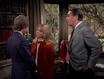 Gidget Gets Married screenshot 3