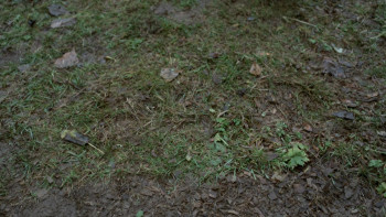 Concrete Canyons screenshot 1