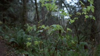 Concrete Canyons screenshot 3