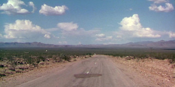 Fox Fire screenshot 3