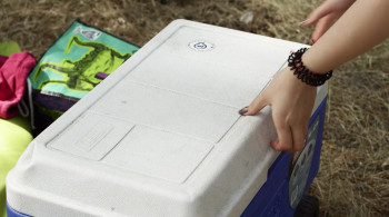 End of the World screenshot 3