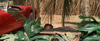 Blue Hawaii screenshot 2