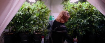 Nobody's Fool screenshot 1